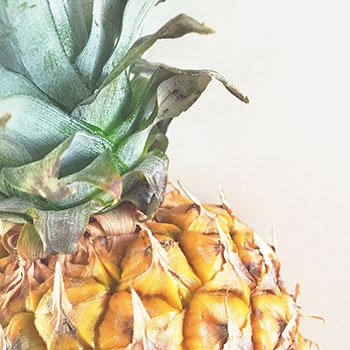 Nutritionist Charleston South Carolina